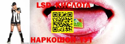 молекула духа Жуковский