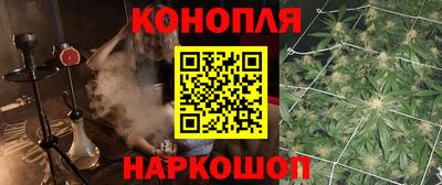 гидра Заводоуковск