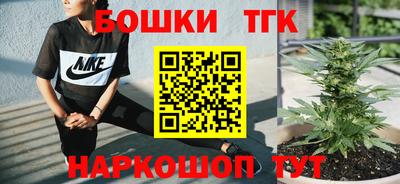 гидра Заводоуковск