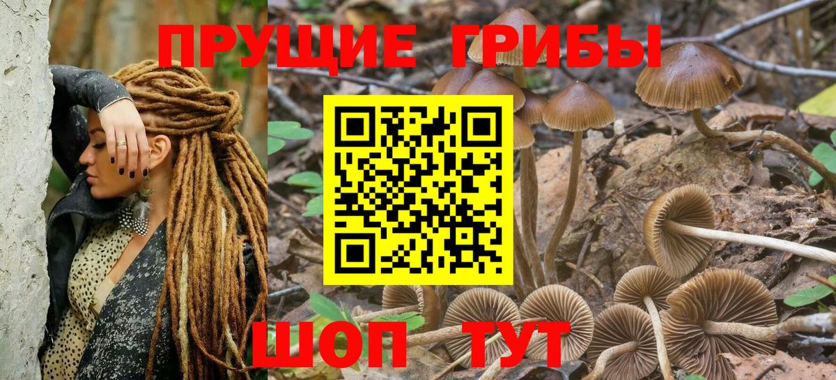 Долгопрудный  Галлюциногенные грибы мухоморы  Псилоцибиновые грибы GOLDEN TEACHER  Вход с VPN 